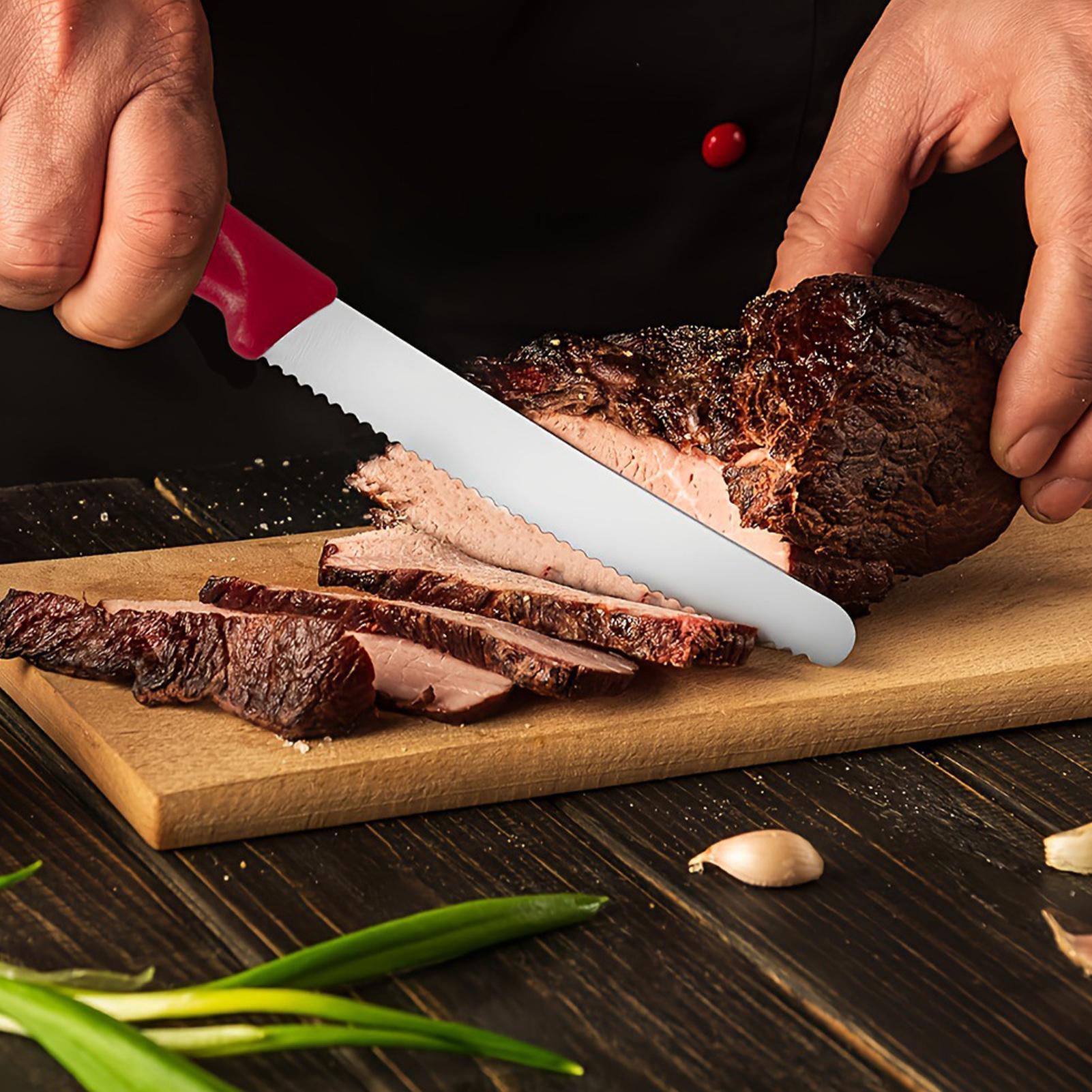 Serrated Steak Cutter 5 Pieces - Meal Prep For Cutting ulasan dan harga