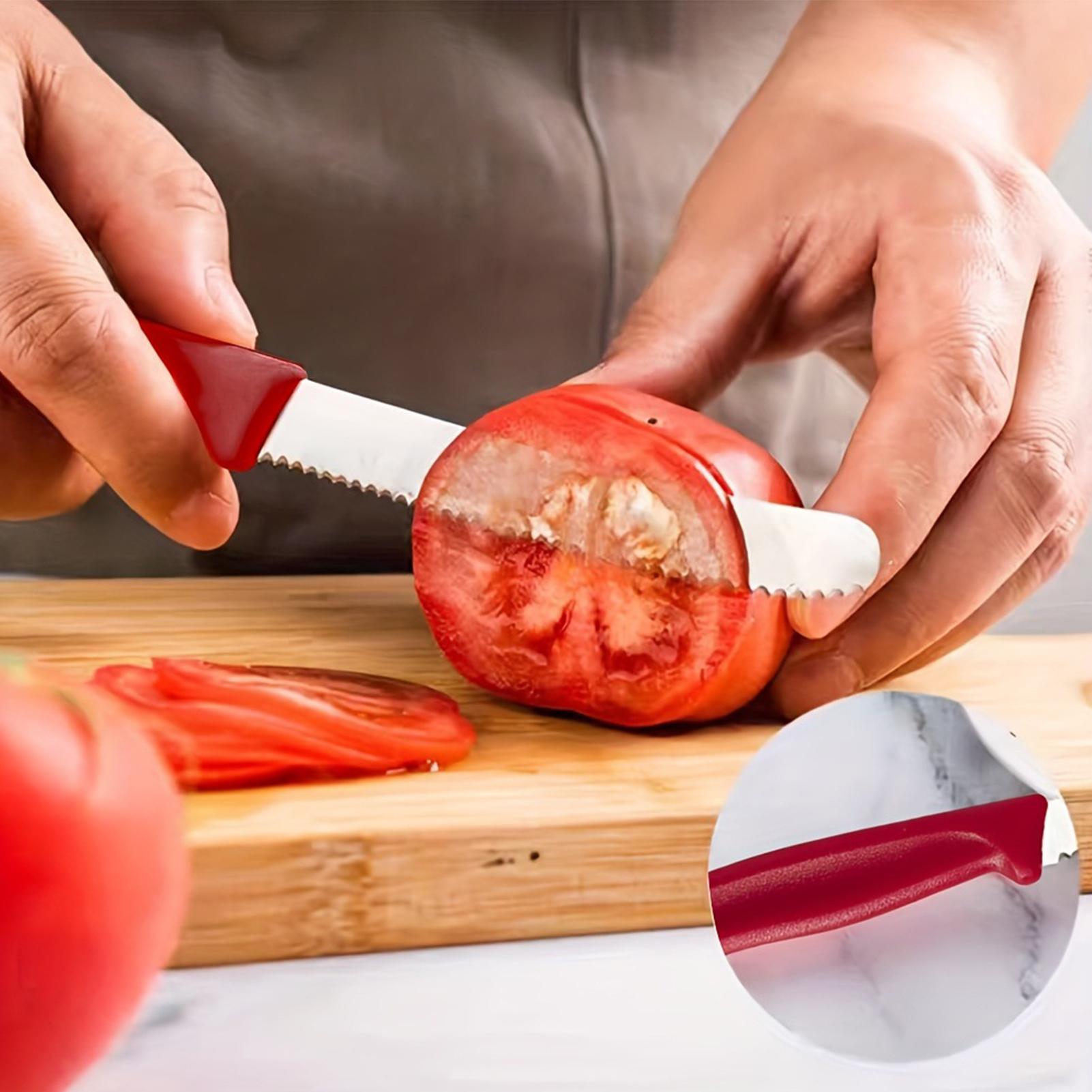 Serrated Steak Cutter 5 Pieces - Meal Prep For Cutting ulasan dan harga