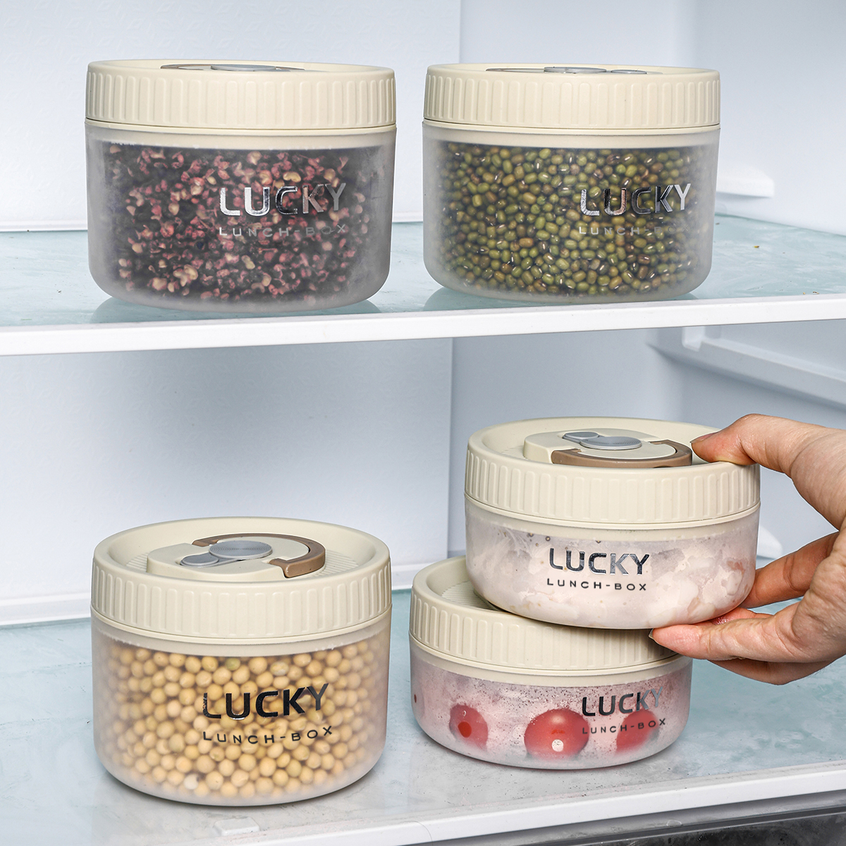 WORTHBUY Transparent Plastic L - Meal Prep Kit ulasan dan harga