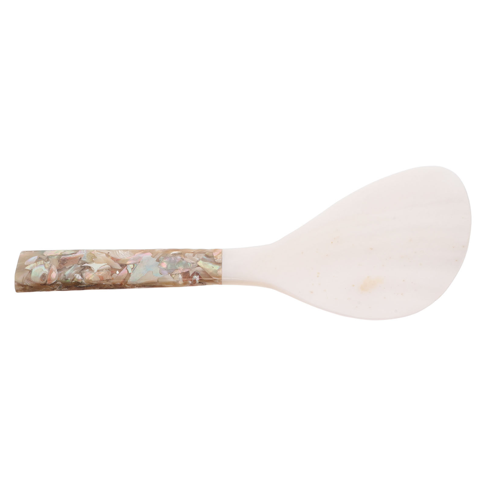 Shell-Inspired Rice Paddle Non - Meal Prep Rice ulasan dan harga