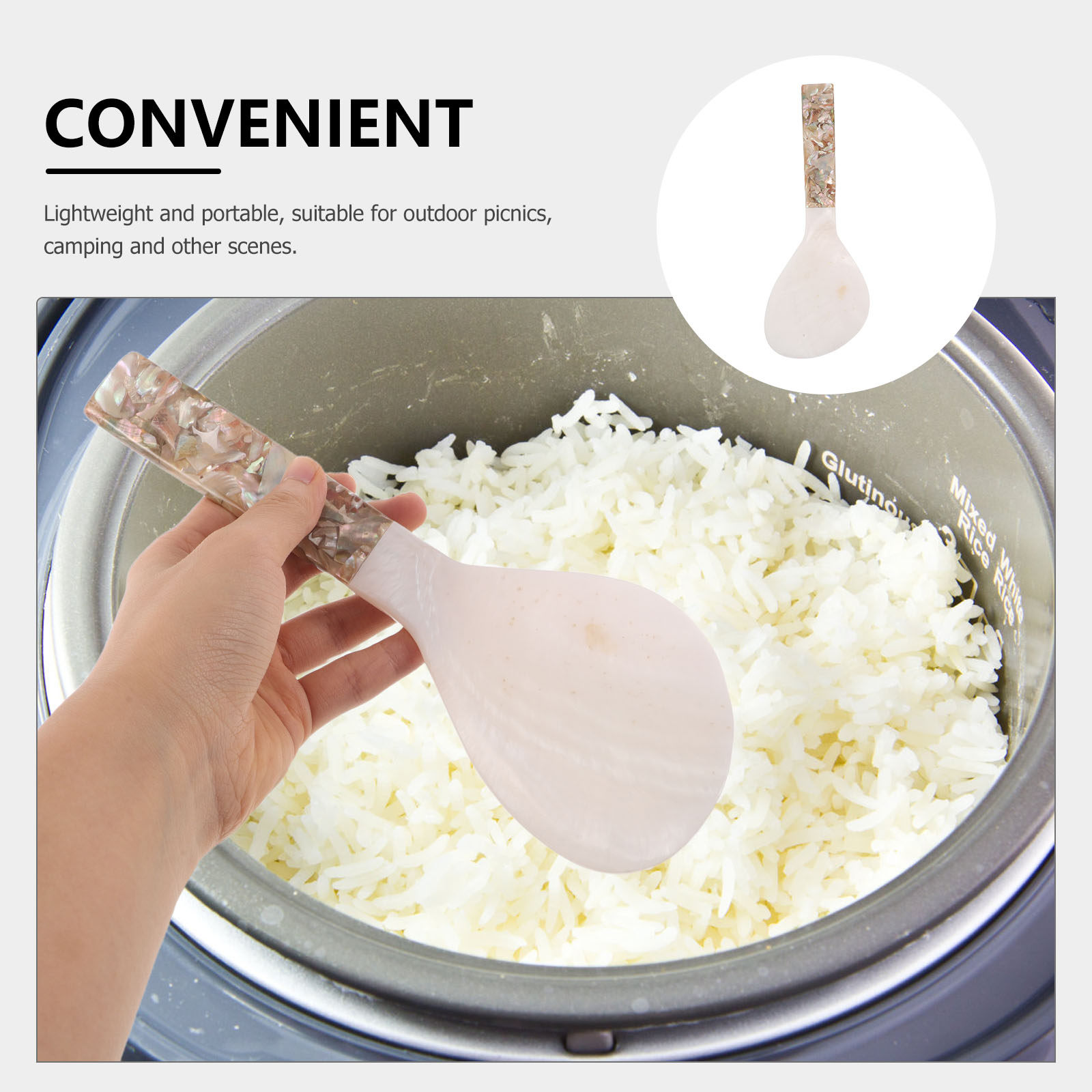 Shell-Inspired Rice Paddle Non - Meal Prep Rice ulasan dan harga