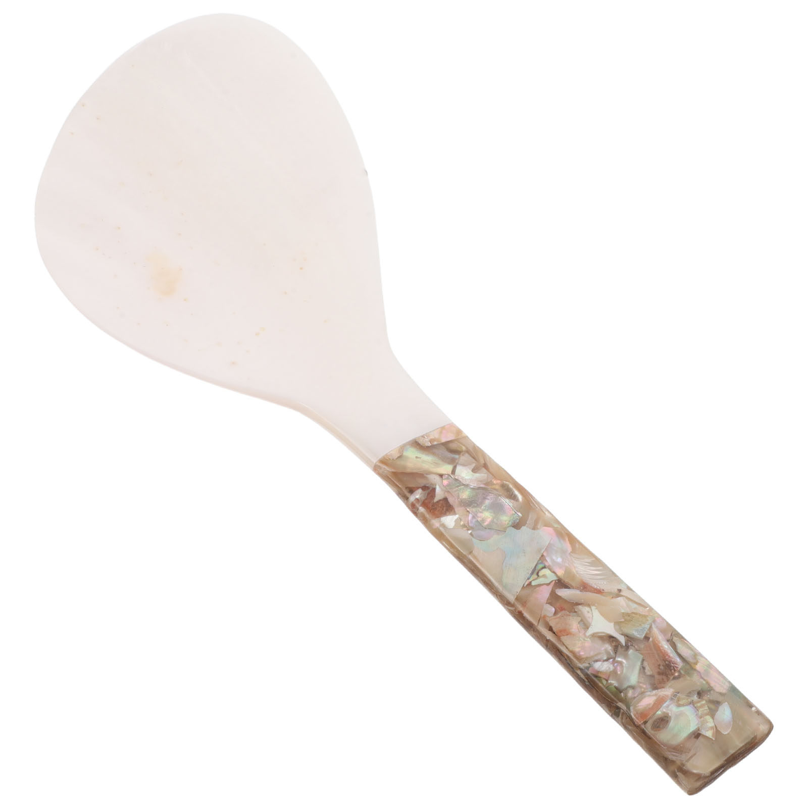 Shell-Inspired Rice Paddle Non - Meal Prep Rice ulasan dan harga